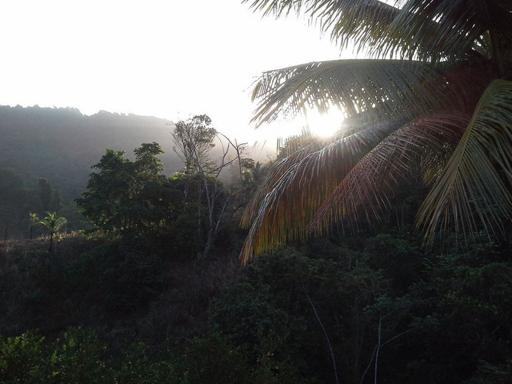 Las Cuevas Beach Lodge Eksteriør bilde